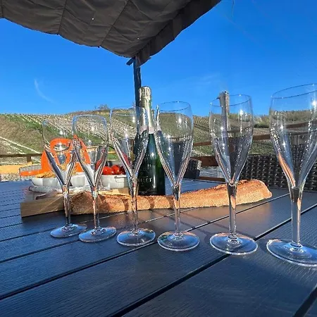 Vendangeoir Du Du Clos Pommier Holiday home
