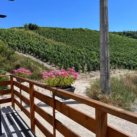 Vendangeoir Du Du Clos Pommier Feriehus